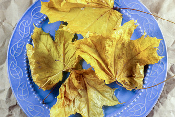 yellow leaves on a blue plate