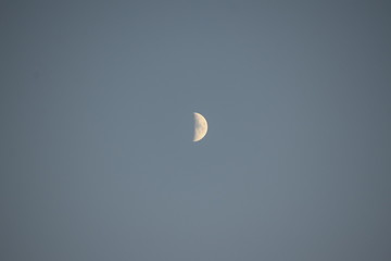 Moon