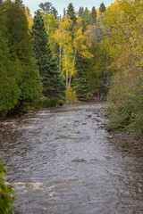 Fototapeta na wymiar Gooseberry River in Northern Minnesota