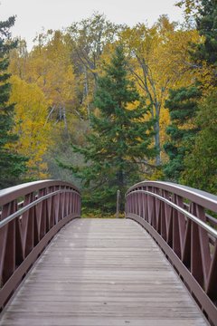 Scenic view on a bridge at Gooseberry Falls State Park in Autumn, vertical