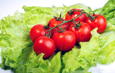 cherry tomatoes on lettuce leaves on white background