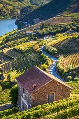 View over the Douro valley in Mesao Frio, Portugal. © Denis Comeau