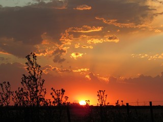 atardecer pampeano