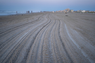 tracks in the sand