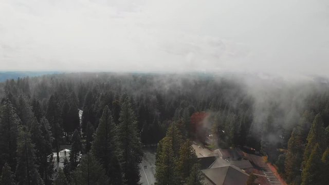 Aerial drone rotation shot of evergreen forest with misty low lying clouds and a small town of Pollock Pines below