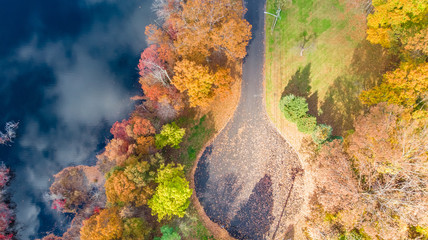 Aerial view of the beautiful autumn area with yellow and red trees