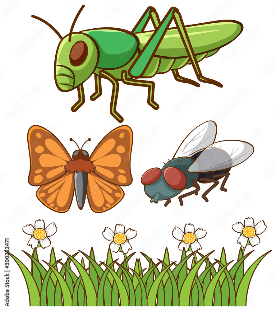 Sticker isolated picture of different bugs