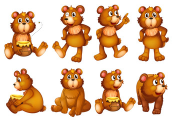 Set of bears isolated on white