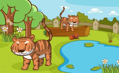 Obraz na płótnie Canvas Scene with tigers in the park