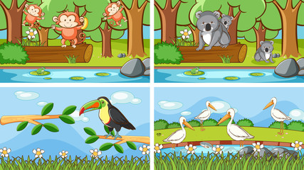 Background scenes of animals in the wild