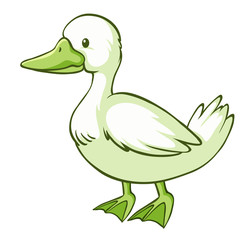 Green duck on white background