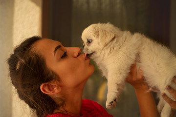 Pretty young woman happy with her little dog. - Stock Image