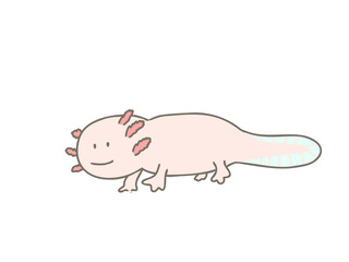 ウーパールーパー