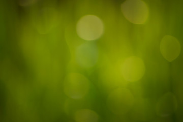Obraz premium biały bokeh streszczenie zielone tło