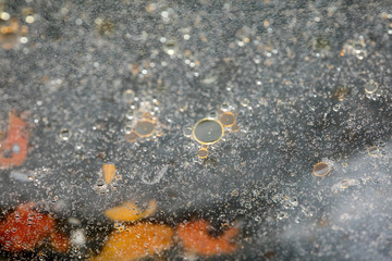 Colorful bubbles macro background fifty megapixels high quality prints
