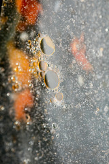 Colorful bubbles macro background fifty megapixels high quality prints