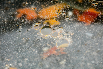 Colorful bubbles macro background fifty megapixels high quality prints