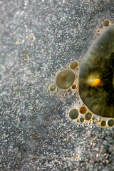 Colorful bubbles macro background fifty megapixels high quality prints
