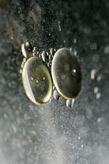 Colorful bubbles macro background fifty megapixels high quality prints