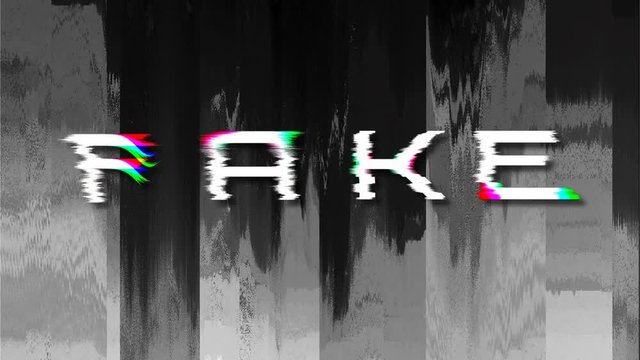 Word FAKE with glitch 3d effect, black and white bug screen background, loop