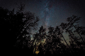 Stunning night photography shots of the milky way, nebulas, stars, and clusters of the night sky.  Bowen Island BC Canada with stunning beaches, forests and clear skies.
