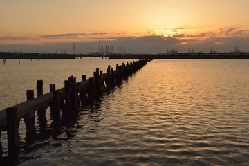 Fototapeta premium 朝日