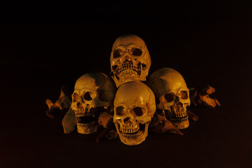 Pile of skulls put on dark floor and black background dim light