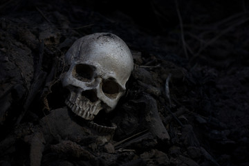 Skull and bones digged from pit in the scary graveyard  / Still life and art image