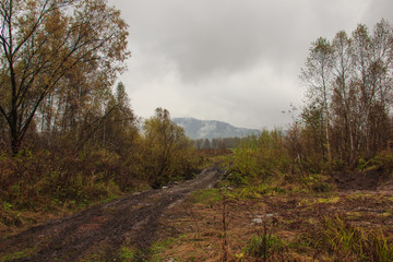 Fototapeta na wymiar Panorama of rural road in slush through fields and forests for SUV with puddles and mud. Forest mountains and cloudy sky in fog in the background.
