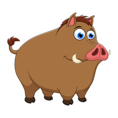 Wild boar or wild pig cartoon isolated on wite background