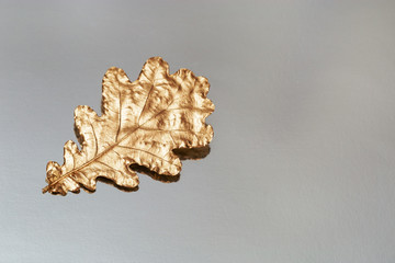 One oak leaf  painted gold color on silver background. Design decoration with Autumn leaf and his reflection. Top view and copy space.