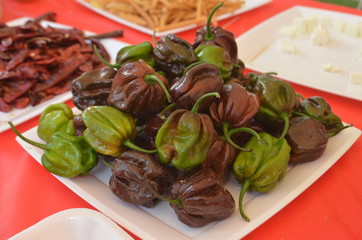 Habaneros tipo chocolate frescos y maduros
