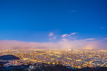 Beautiful landscape with moiwa mountain around tree in snow winter season at sunset time