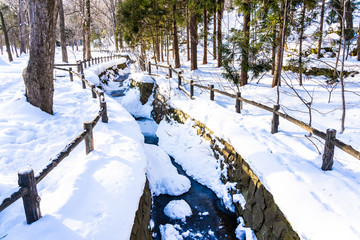 Beautiful outdoor nature landscape with tree in snow winter season at Hokkaido