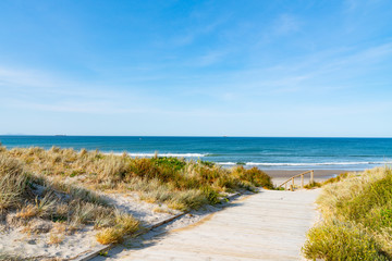 Wooden walkway through dunes to sea