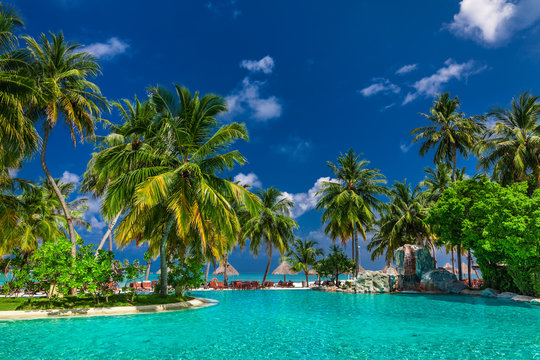 Large infinity swimming pool on the beach with palm trees and umbrellas
