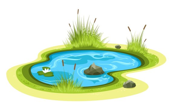 Cartoon Pond Images – Browse 1,733 Stock Photos, Vectors, and Video | Adobe  Stock