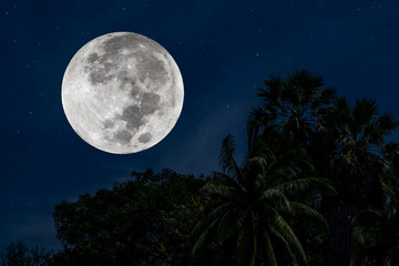 Fototapeta na wymiar Super full moon with sillhouette trees at night.