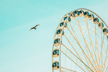 Fototapeta premium ferris wheel and blue sky