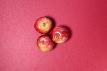 Small mini red apple on red background
