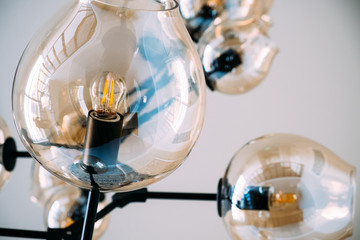 Tulip lamp with a light bulb