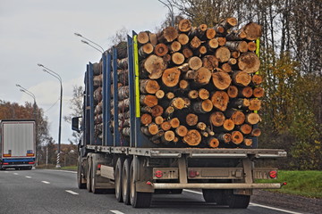 Big heavy wood truck transports logs on a semi-trailer on a coubtry asphalt highway road on autumn day against a gray sky - commercial lumber import in Europe, timber trading