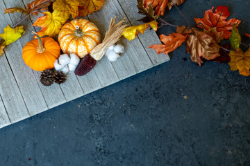 Autumn Background with leaves, pumpkins, dried corn, and gourds.