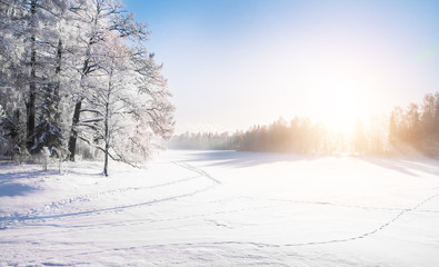 Beautiful Winter park and sun