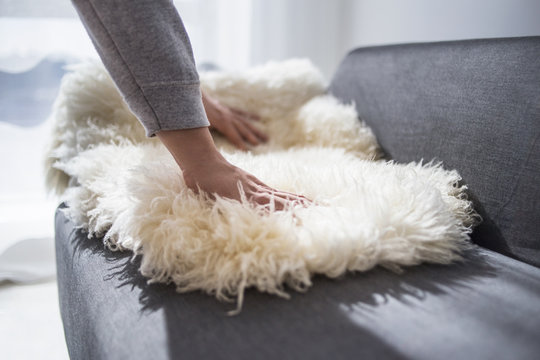 LWTWL0008103 home; real estate and furniture concept - male decorating new home - putting sheepskin rug on sofa