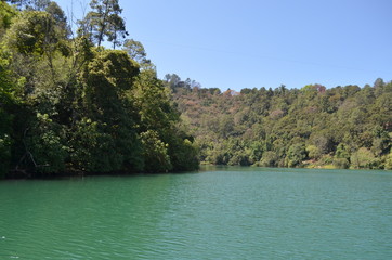 Fototapeta na wymiar Bosque alrededor del Lago de Zirahuen