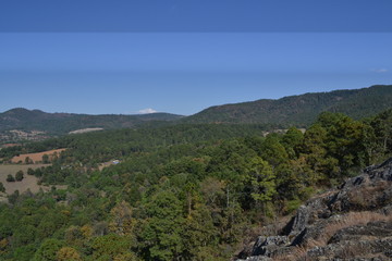 Fototapeta premium Bosque en la Serranía de Morelia