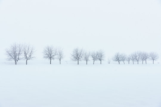 55 726 最適な 雪景色 画像 ストック写真 ベクター Adobe Stock