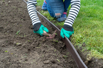 Create lawn edge in the garden