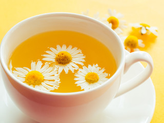 Herbal tea with fresh chamomile flowers in a cup